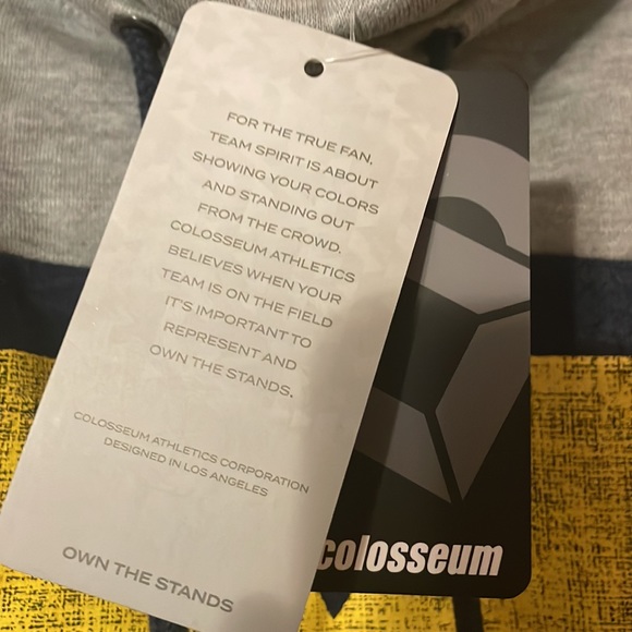 NWT Michigan sweatshirt womens large - Picture 4 of 9